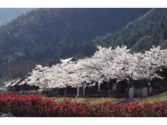 �匴�Ί݁^������̎ʐ^1