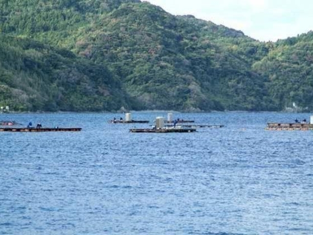 ��g���ނ�f�b�L�̎ʐ^1