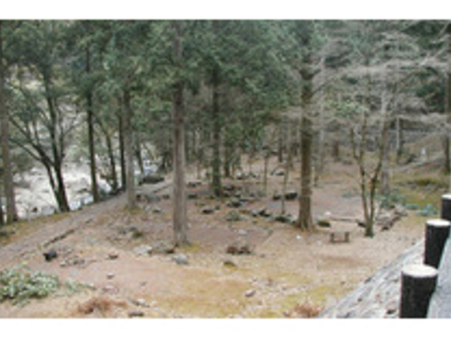 �����k�J�L�����v��