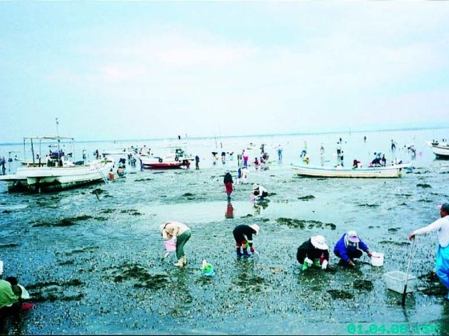 �L���C�ό��V���D