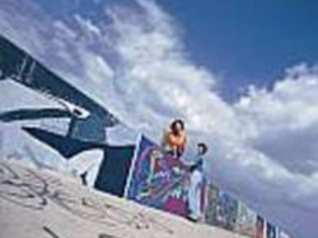 �y�C���g���ꂽ�h�g�炪������т�_�k�J�����C�݃G���A