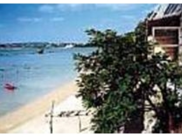 ���������������A�����Či�F���ō��I_�l�ӂ̒���