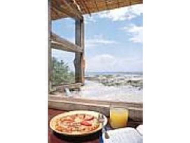 �l�C�́w�g�}�g�o�W���s�U�x�T�O�O�~_�l�ӂ̒���