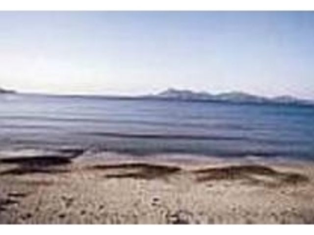 ���������{�C�𒭂߂Ȃ���h���C�u���悤_R�P�X�P�@�C�݃h���C�u