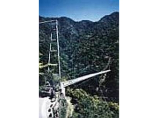 �݂苴�����łȂ��V�����̎U����C��������_�Ɨt��݋�