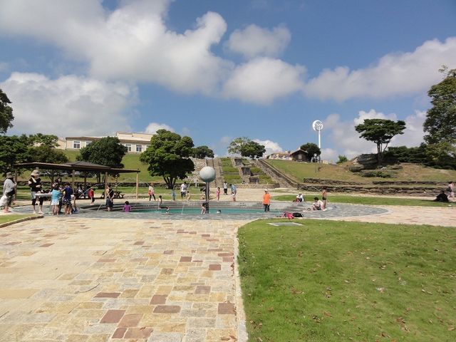 ������̋u