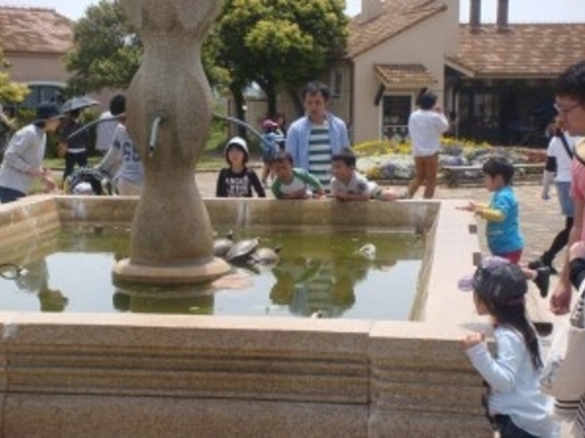 ������̋u