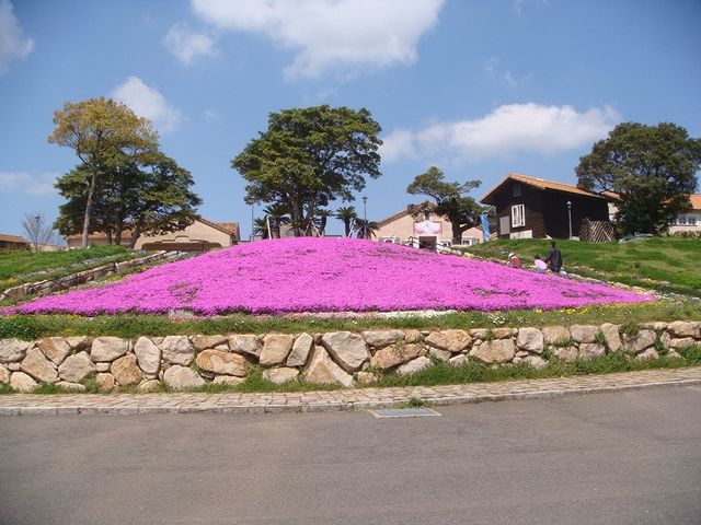 ������̋u