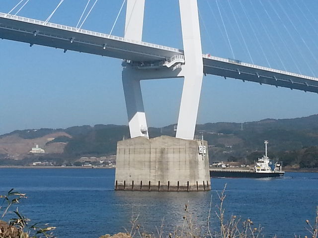 �哇�勴