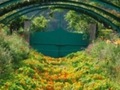 北川村「モネの庭」マルモッタンの写真1