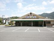 �Ƃ悳���l�G�؊ق̎ʐ^1