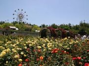 �I�������������^�΂�̎ʐ^1