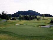 �a�؃S���t��y���̎ʐ^1