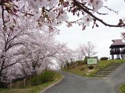 �����炾�̗����d�R�����̎ʐ^1