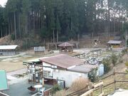 ���؎R�����s�N�j�J���a���̎ʐ^1