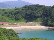 �K�v�����C�l�����̎ʐ^3