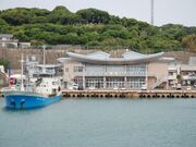 �}�����p�����̎ʐ^1