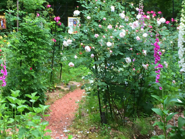 irT`EK[fjɂ̓on[uȂǂāAG߂ƂɊy߂܂_ܖrT`p