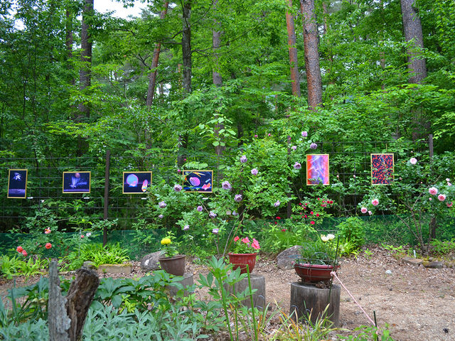 irT`EK[fjUȂiӏ܂ł܂_ܖrT`p