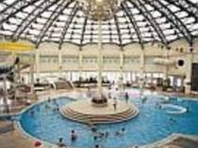 �h�[���^�̊ٓ������ɃZ���^�[�v�[��������_�N�A�h�[���@�U�E�u�[��