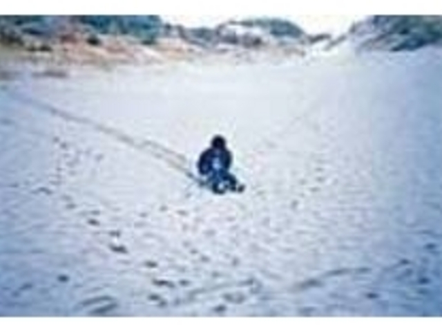 �X�s�[�h���Ə����̃X�����𖡂킦��_���R