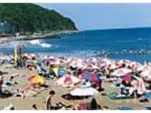 �ɓ������𒭂߂Ȃ���C�������y���߂�_�M��YOU���r�[�`