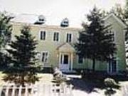 �ɓ������َq�̖؂̎ʐ^2