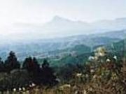 ֓ӂꂠ̓@R؂݂̂̎ʐ^1