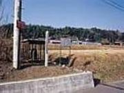 �L�b�X���c�_�̎ʐ^2