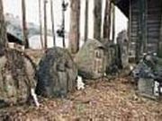 ֓ӂꂠ̓uc_̓v̎ʐ^1