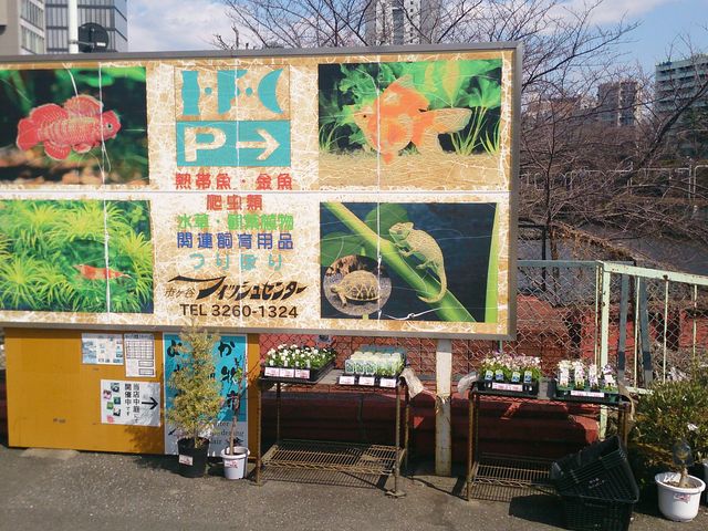 �s���J�t�B�b�V���Z���^�[