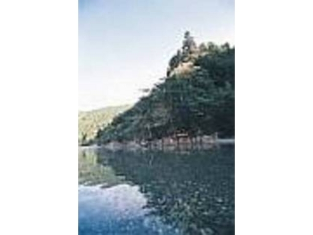 �L���ȗ΂��f���o�������𒭂߂Ȃ���Z����_��l���C