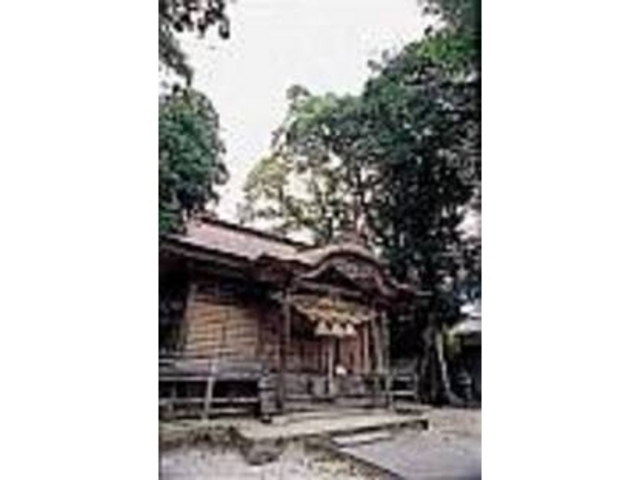 �����̕Ћ��ɂ̓u�����R�Ƃ��ׂ���_�O���_��