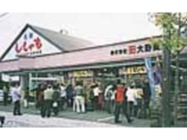 {̏H͂𔃂߂lłɂ키_Jl_C쏤X