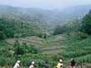 �A�N�e�B�u4�̎ʐ^2