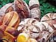 n[uqRe[W@BX̐Ηqp̎ʐ^1