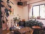 Living@Room@ami̎ʐ^2