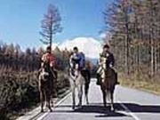 ��n�N���u�΂���݂��̎ʐ^2