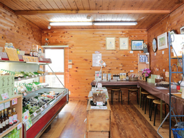 �������X��_���q���̂���