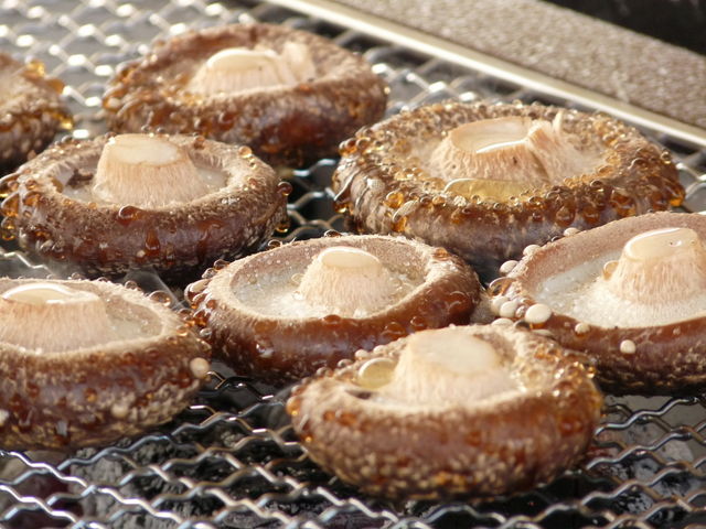 �̂����ő����A���݂̃o�[�x�L���[�K�[�f���ŁA���̏�ŏĂ��ĐH�ׂ���I�i�ʓr�L���j_���q���̂���