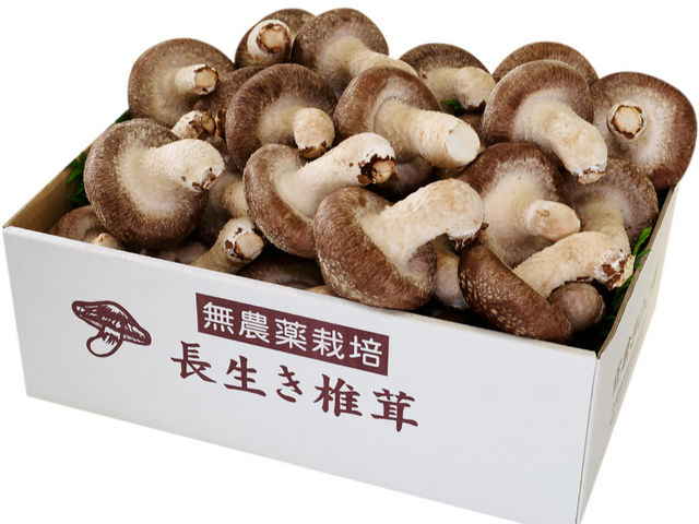 ���X�ɂāA�M�t�g�p�ō��������������̔����Ă��܂��B��؂Ȃւ̑��蕨�ɁB�N�[���ւőS�������Ή�_���q���̂���