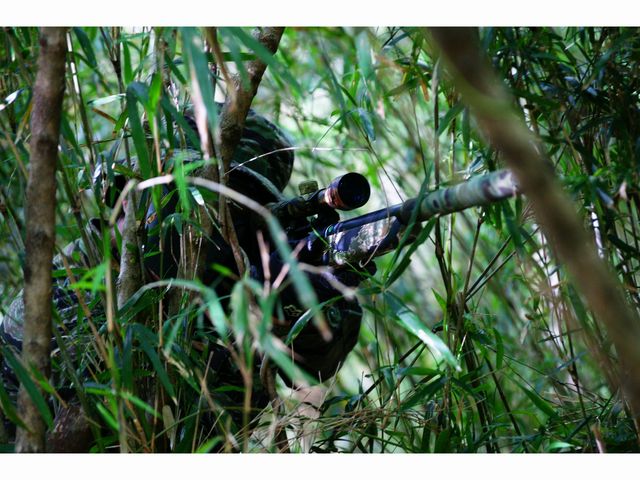 SURVIVAL GAME FIELD PARADOX