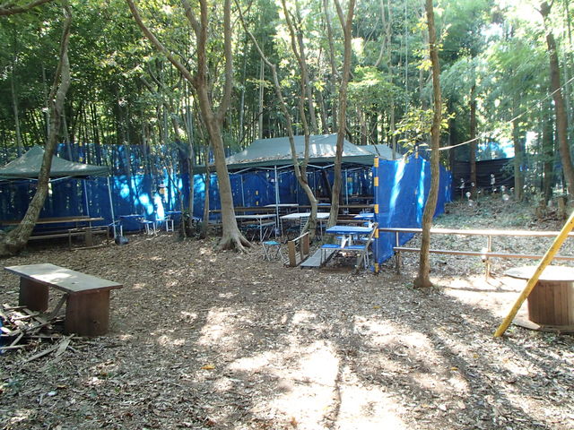 SURVIVAL GAME FIELD PARADOX