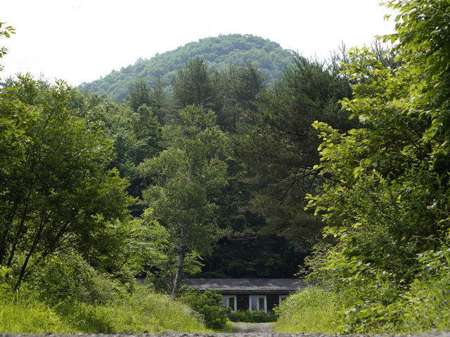 �厩�R�Ɉ͂܂ꂽ���ł̓��|�̌�_���ꂳ���̐X���|�H�[