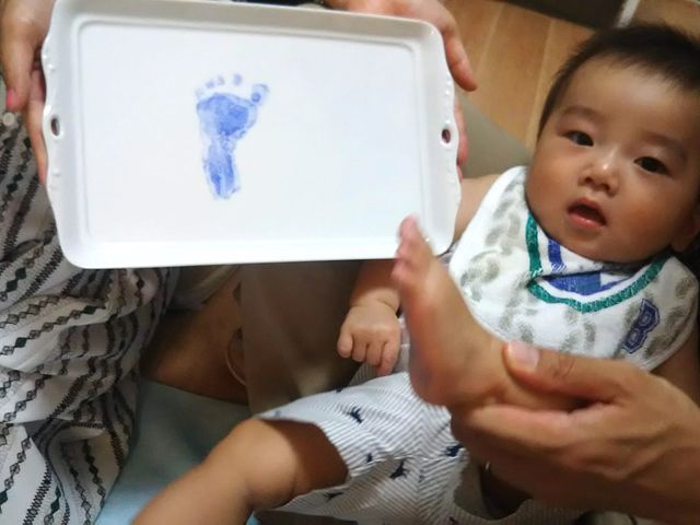 �|�[�Z���[�c�A�g���GPinot�ENoir(�s�m�E�m���[��)