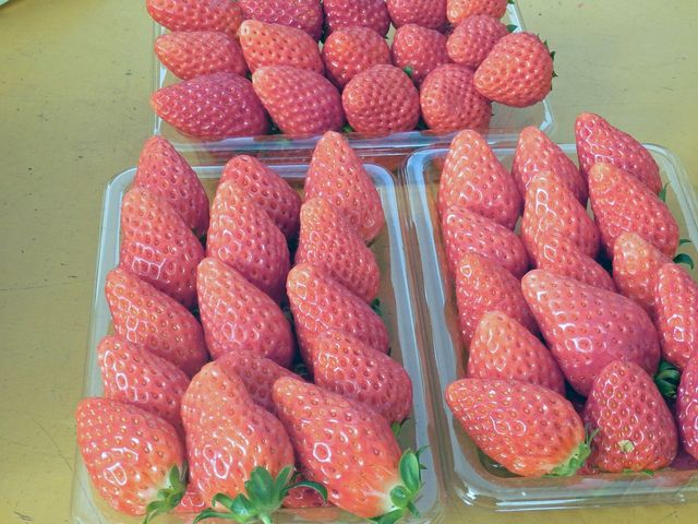 甘いイチゴの販売もしています　農園カフェでどうぞお土産にもいかがでしょう。_土方洋蘭いちご園