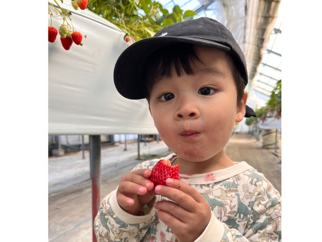 �C�`�S���̗l�q�ł��B_�y���m����������