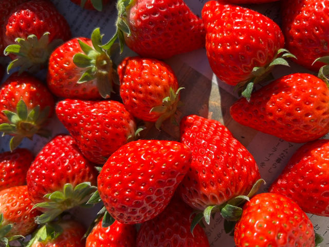 �Â��C�`�S�̔̔������Ă��܂��@�_���J�t�F�łǂ������y�Y�ɂ��������ł��傤�B_�y���m����������