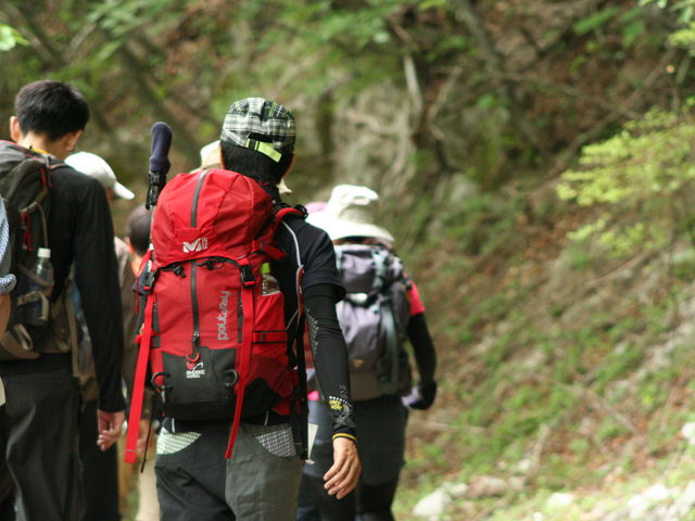 �x�m�R�o�R�p�i�����^���V���b�vLaMont