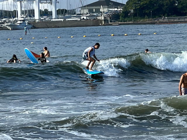 �J�C���A�T�[�t�B���X�^���h�A�b�v�p�h���X�N�[��